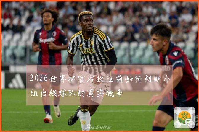 2026世界杯官方投注前如何判断小组出线球队的真实概率