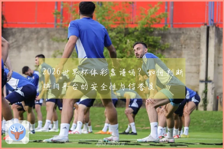 2026世界杯体彩靠谱吗？如何判断热门平台的安全性与信誉度