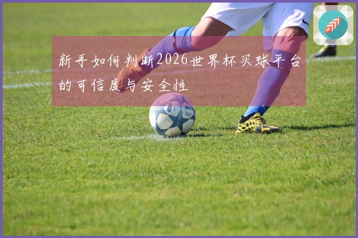 新手如何判断2026世界杯买球平台的可信度与安全性