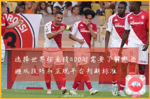选择世界杯竞猜app时需要了解哪些避坑技巧和正规平台判断标准