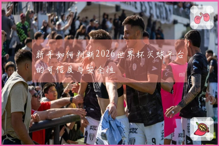 新手如何判断2026世界杯买球平台的可信度与安全性