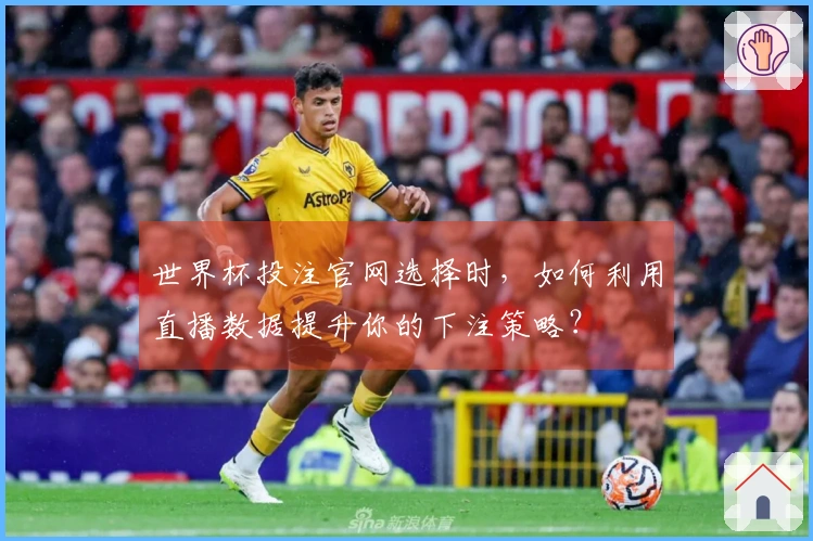 世界杯投注官网选择时，如何利用直播数据提升你的下注策略？