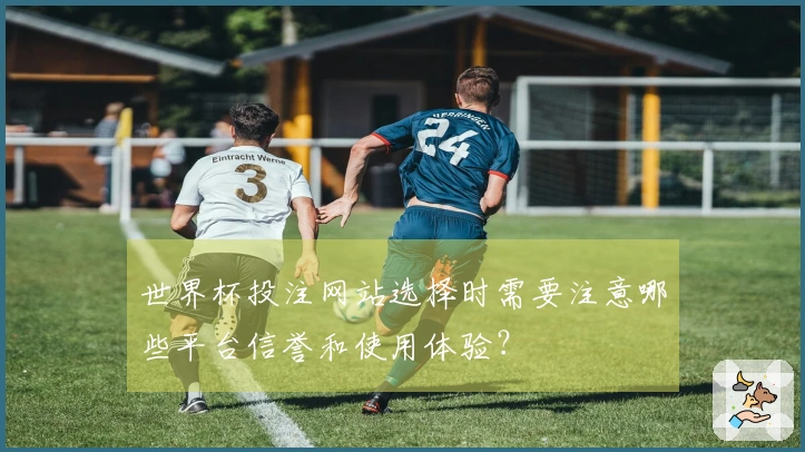 世界杯投注网站选择时需要注意哪些平台信誉和使用体验？