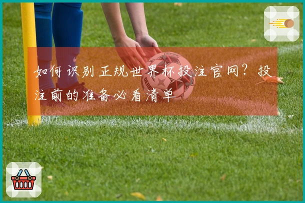 如何识别正规世界杯投注官网?投注前的准备必看清单