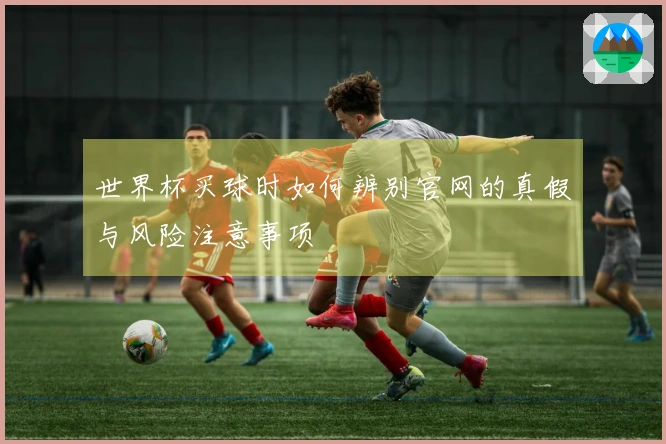 世界杯买球时如何辨别官网的真假与风险注意事项