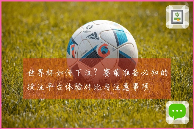 世界杯如何下注？赛前准备必知的投注平台体验对比与注意事项