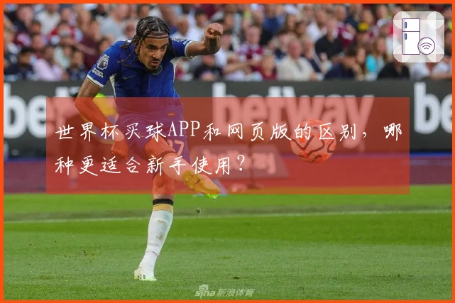 世界杯买球APP和网页版的区别，哪种更适合新手使用？