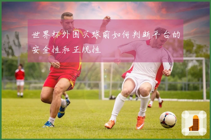 世界杯外围买球前如何判断平台的安全性和正规性