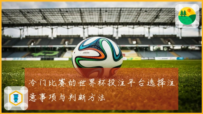 冷门比赛的世界杯投注平台选择注意事项与判断方法