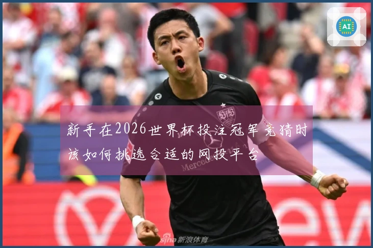 新手在2026世界杯投注冠军竞猜时该如何挑选合适的网投平台