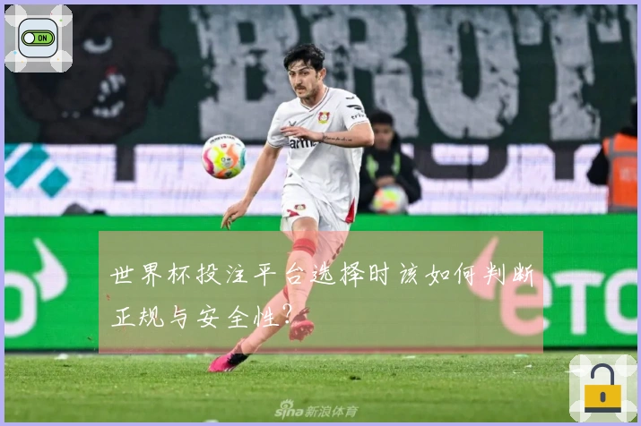 世界杯投注平台选择时该如何判断正规与安全性？