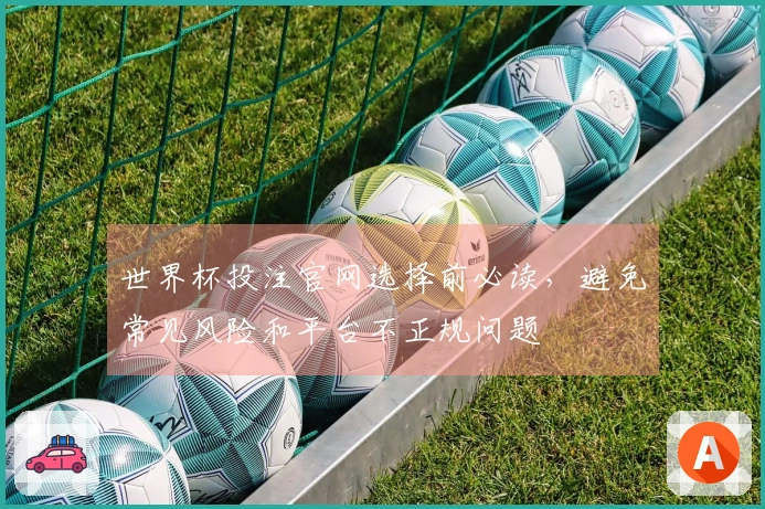 世界杯投注官网选择前必读，避免常见风险和平台不正规问题