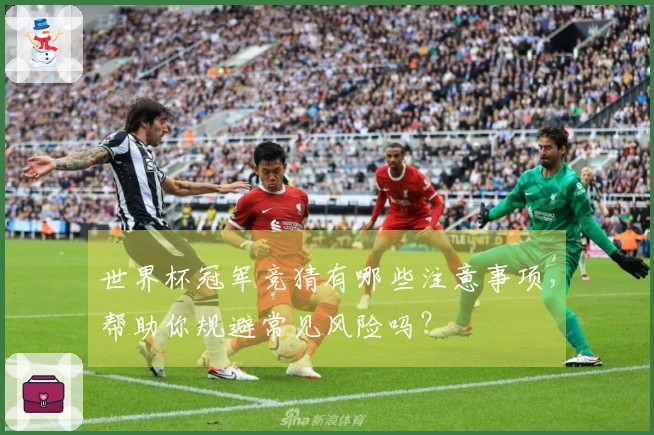 世界杯冠军竞猜有哪些注意事项，帮助你规避常见风险吗？