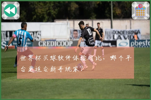 世界杯买球软件体验对比，哪个平台更适合新手玩家？