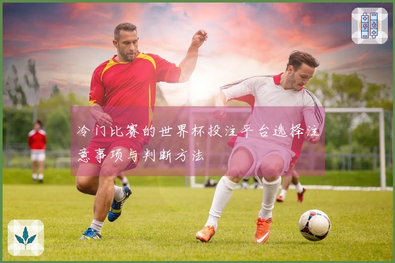 冷门比赛的世界杯投注平台选择注意事项与判断方法