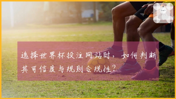 选择世界杯投注网站时，如何判断其可信度与规则合规性？