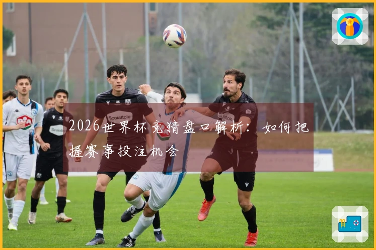 2026世界杯竞猜盘口解析：如何把握赛事投注机会