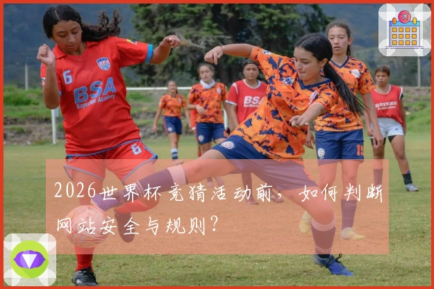 2026世界杯竞猜活动前，如何判断网站安全与规则？