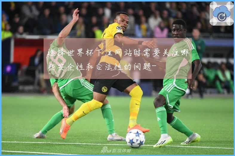 选择世界杯下注网站时需要关注哪些安全性和合法性的问题-