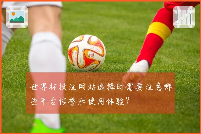 世界杯投注网站选择时需要注意哪些平台信誉和使用体验?