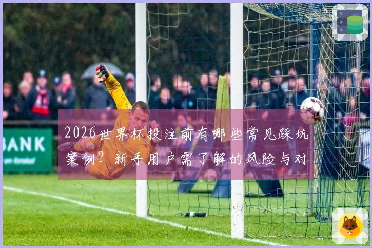2026世界杯投注前有哪些常见踩坑案例？新手用户需了解的风险与对策