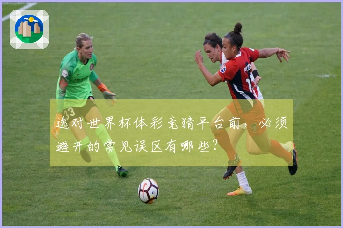 选对世界杯体彩竞猜平台前,必须避开的常见误区有哪些?